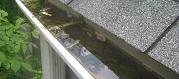 A clogged gutter filled with leaves and debris.